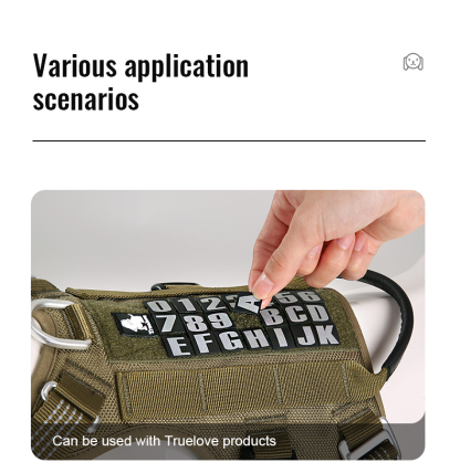 Truelove Personalized Reflective Patch for Enhanced Nighttime Safety (TLV2301)