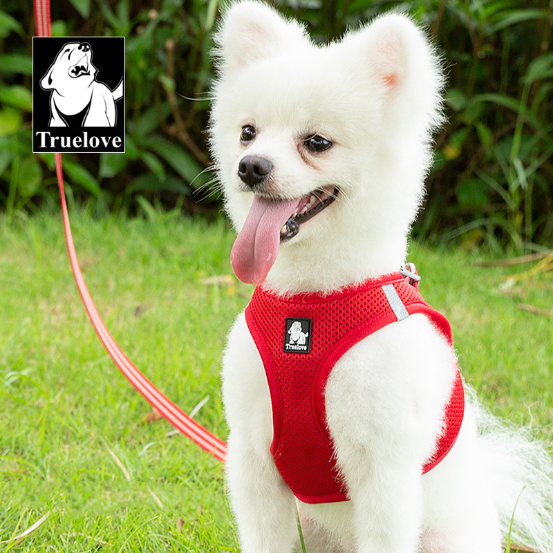 Truelove Nylon Solid Color Dog Harness Vest for Training Puppy Walking