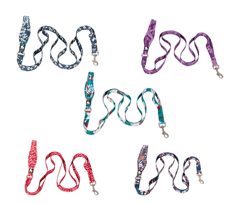 Truelove Polyester Functional Dog Leash (TLL3112)