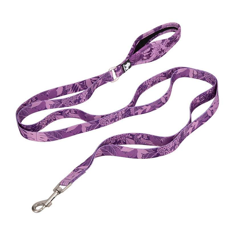 Truelove Polyester Functional Dog Leash (TLL3112)
