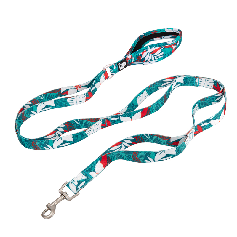 Truelove Polyester Functional Dog Leash (TLL3112)
