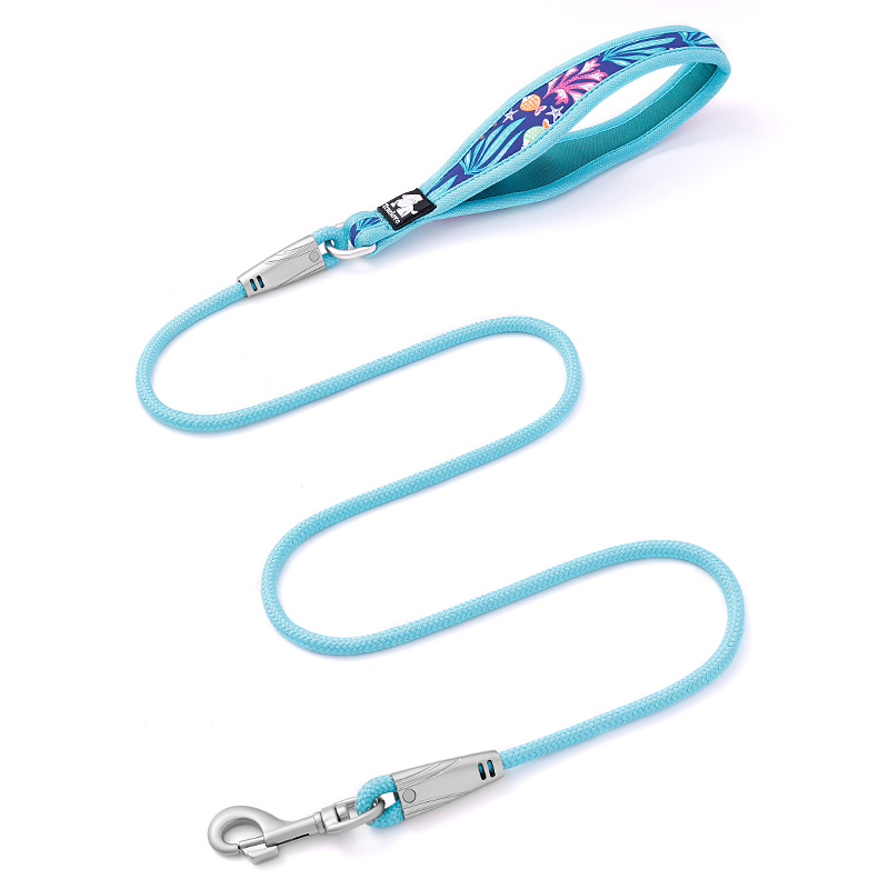 Truelove Premium Outdoor Leash with Durable and Comfortable Design (TLL25761)