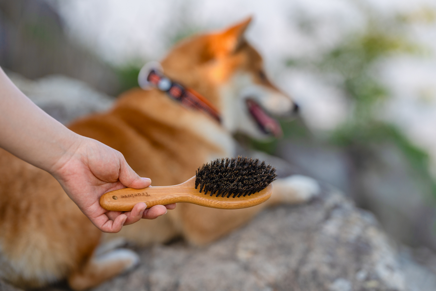 Truelove NatureTouch: Bamboo Handled Brush with Authentic Boar Bristles for Pets (TLK21131)