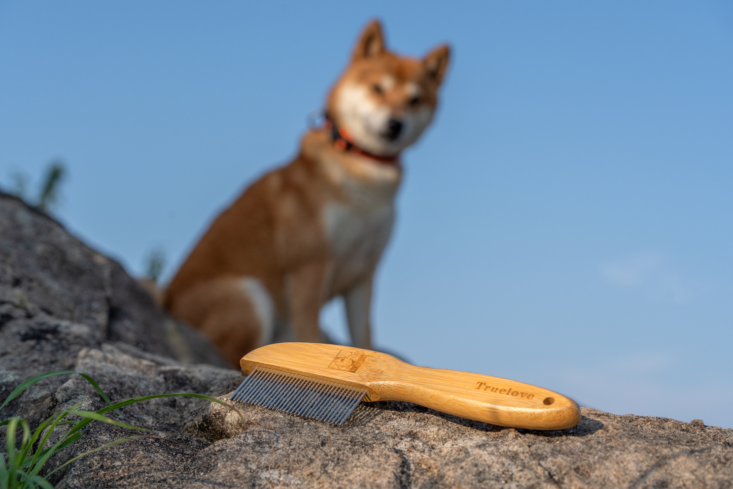 Truelove FurPerfection: Bamboo Crafted Brush with Ergonomic Comfort Handle (TLK22131)