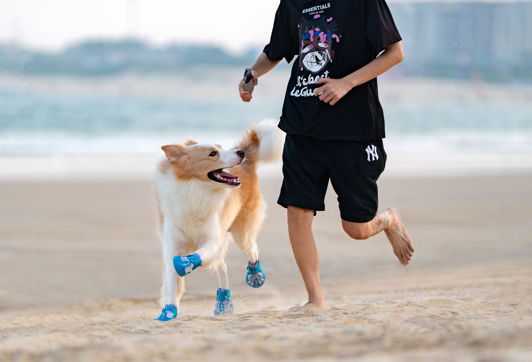 Truelove Outdoor Safety Shoes Reflective Straps and TPR Sole Waterproof Pet Shoes (TLS3963)