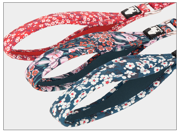 Truelove Polyester Functional Dog Leash (TLL3112)