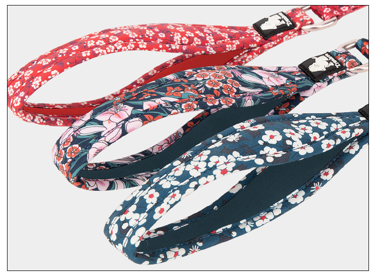Truelove Polyester Functional Dog Leash (TLL3112)