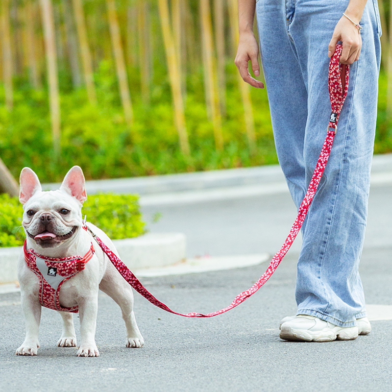 Truelove Polyester Functional Dog Leash (TLL3112)