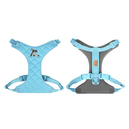Truelove All-In-One Environmentally Friendly Harness Set for Active Pets (TLH6733)
