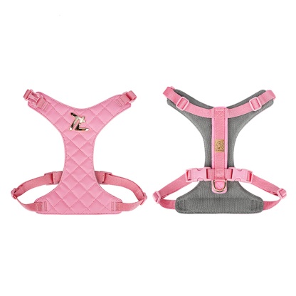 Truelove All-In-One Environmentally Friendly Harness Set for Active Pets (TLH6733)