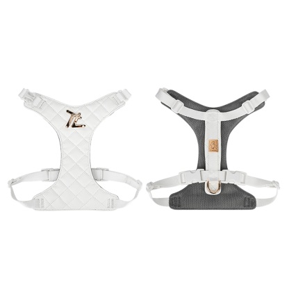 Truelove All-In-One Environmentally Friendly Harness Set for Active Pets (TLH6733)