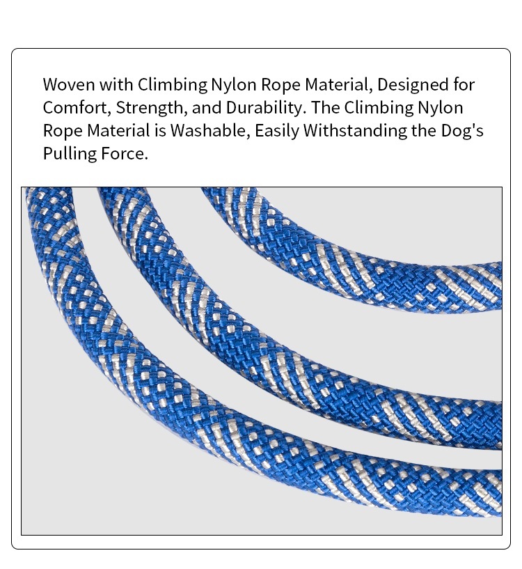 Truelove Durable Dog P-Leash (TLL2575)