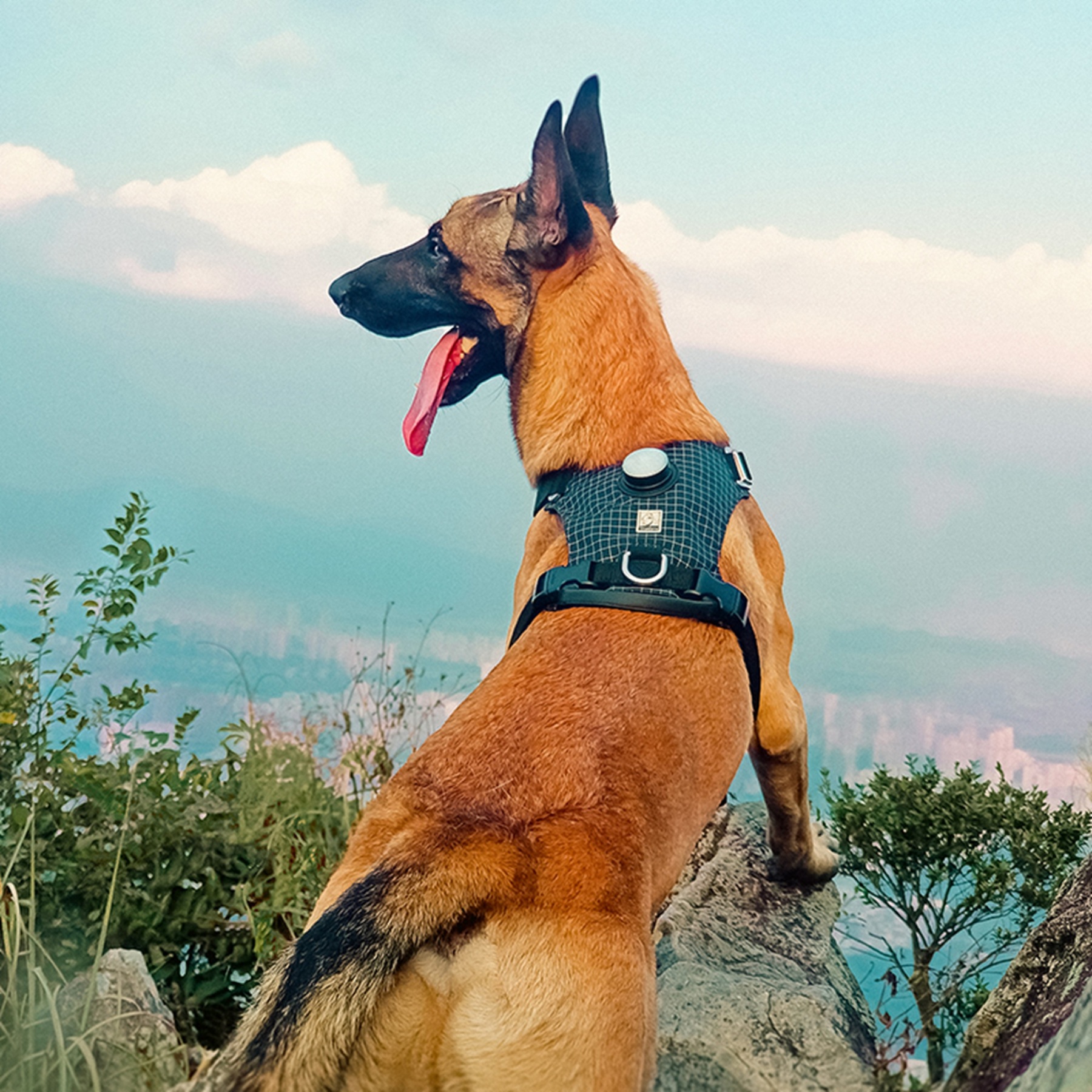 Truelove High-Tech Harness with LED Light and GPS Tracker Holder Innovative Harness