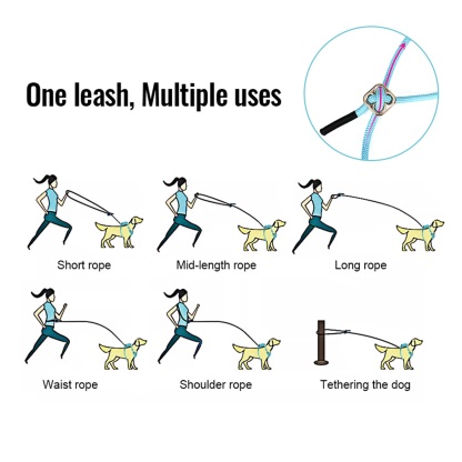 Truelove All-In-One Environmentally Friendly Harness Set for Active Pets (TLH6733)