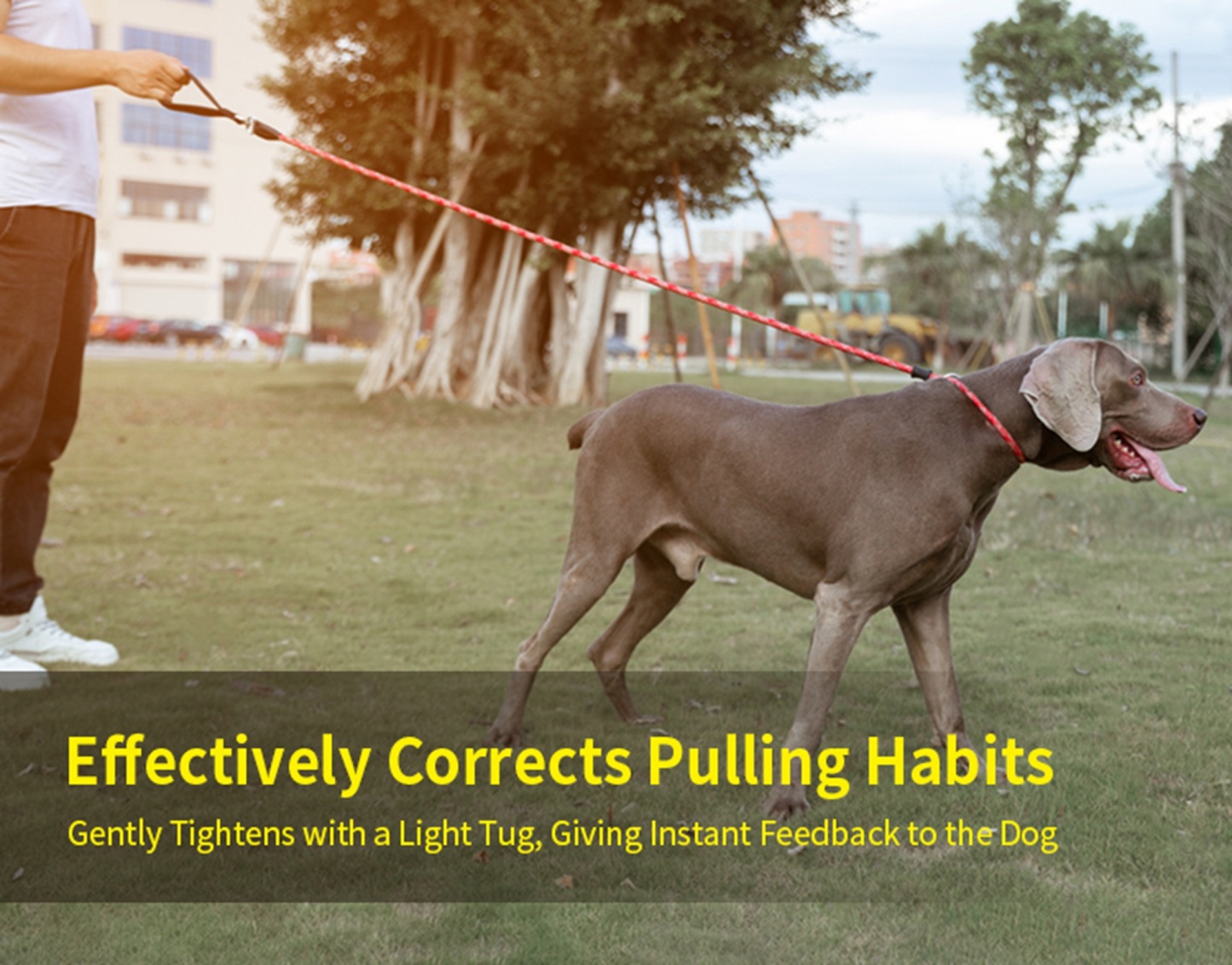 Truelove Durable Dog P-Leash (TLL2575)