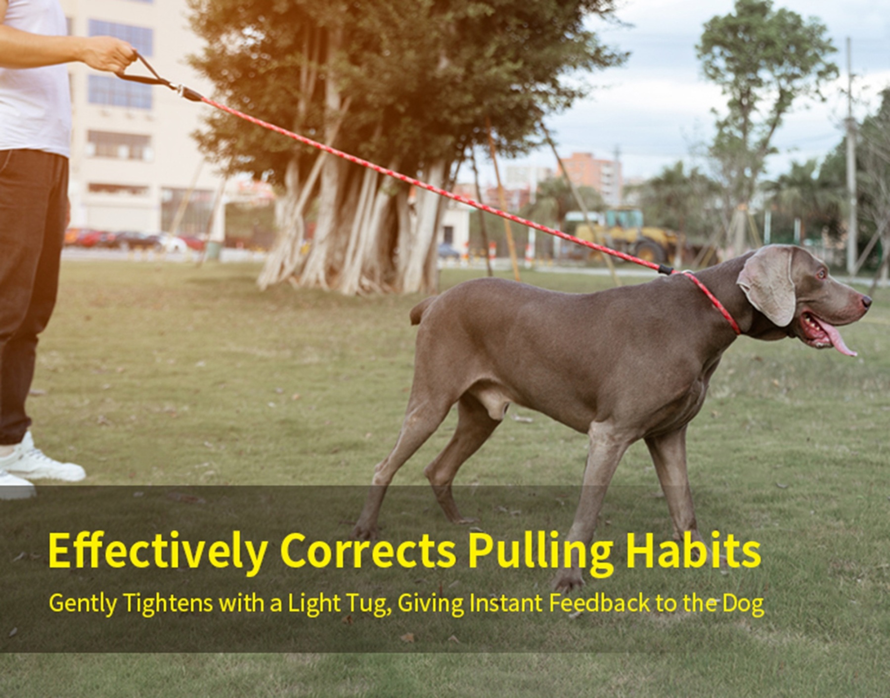 Truelove Durable Dog P-Leash (TLL2575)