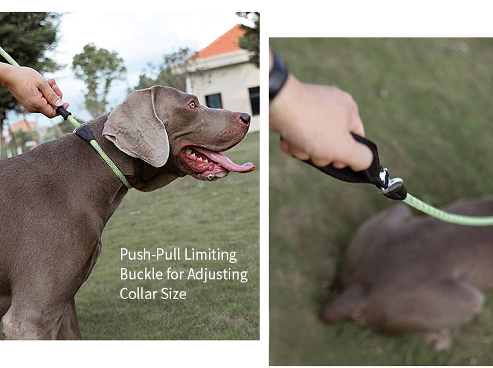 Truelove Durable Dog P-Leash (TLL2575)