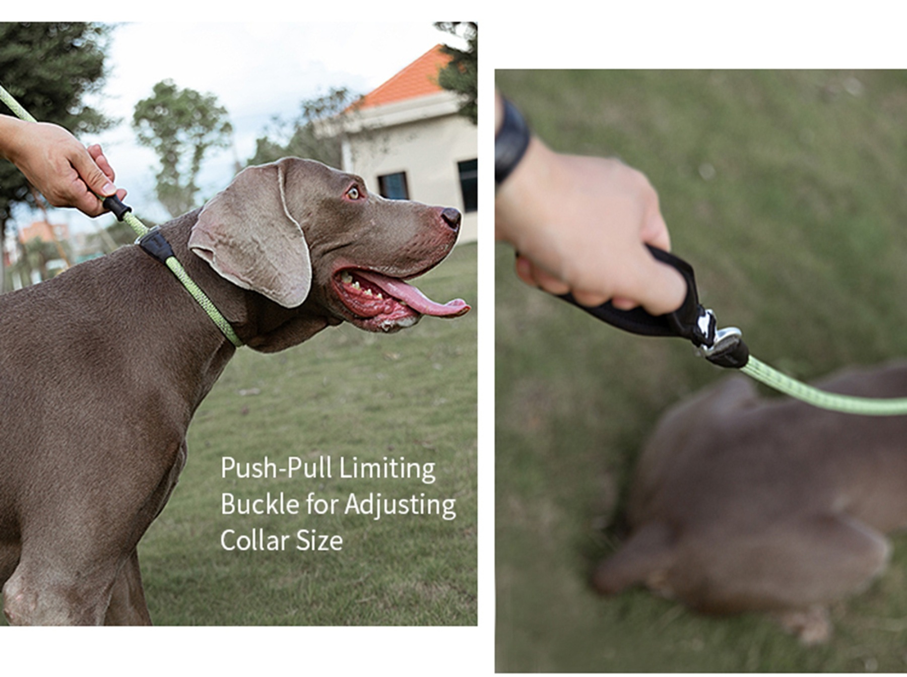 Truelove Durable Dog P-Leash (TLL2575)