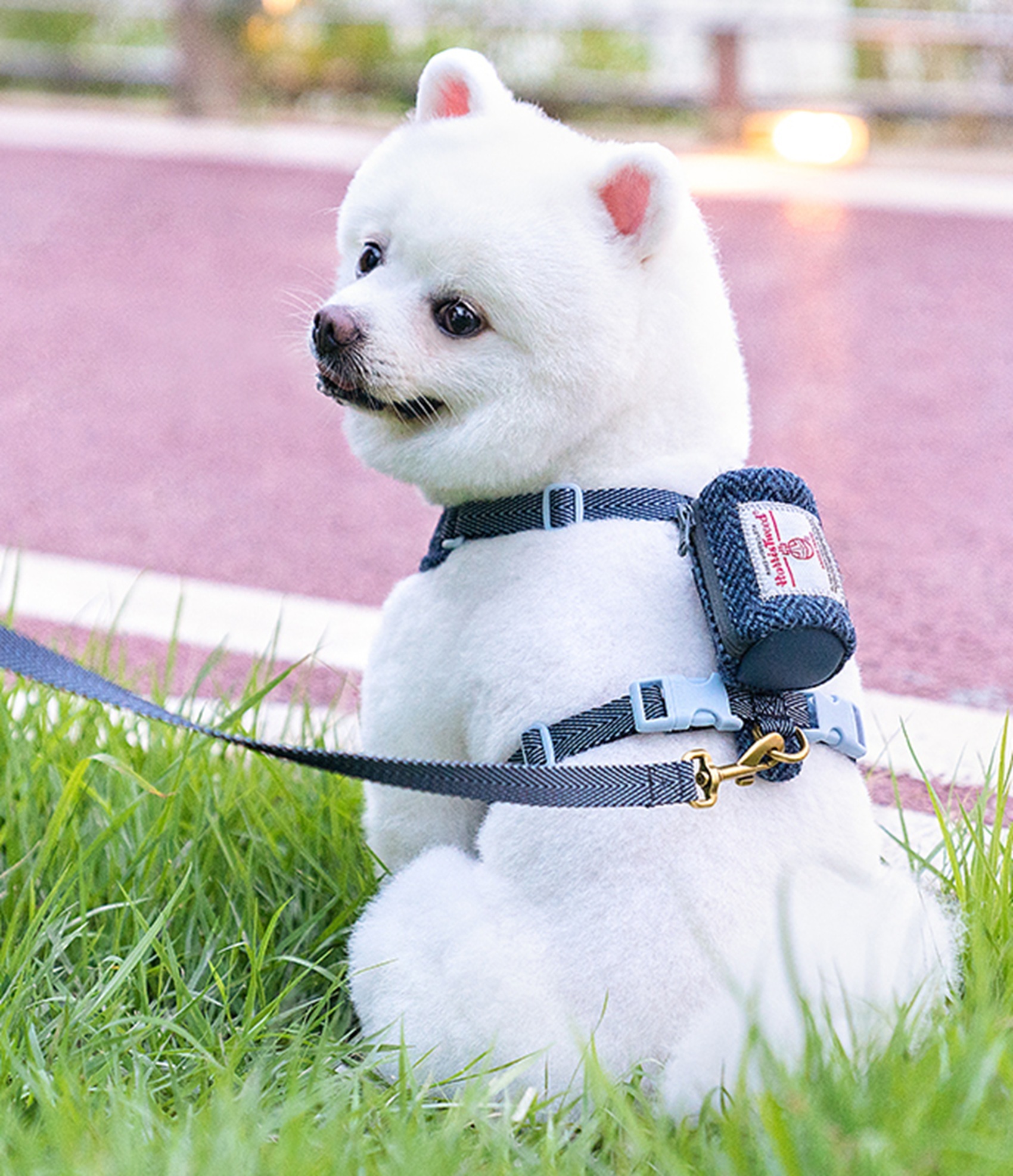 Truelove Comfort Fashionable Series Harness Leash Suit Convenient Poop Bag Dispenser (TLH2912)