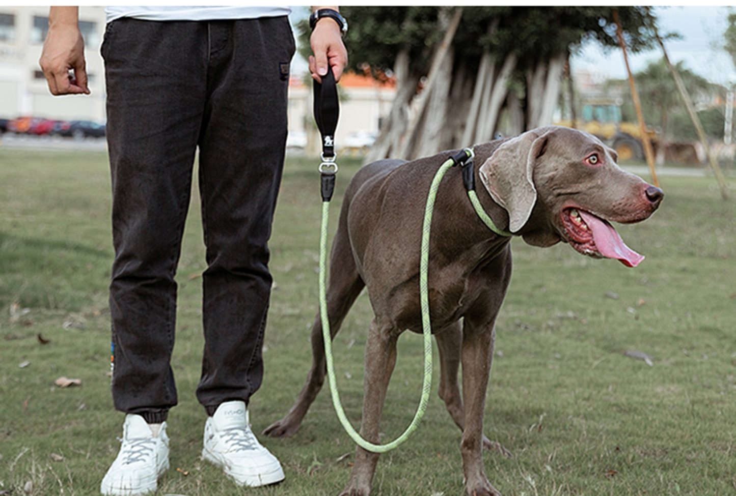 Truelove Durable Dog P-Leash (TLL2575)