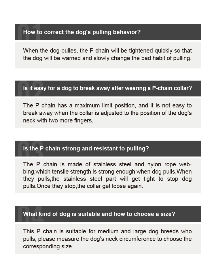 Truelove P-chain Reflective Safety Collar for Your Beloved Pet (TLC5375)