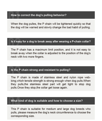 Truelove P-chain Reflective Safety Collar for Your Beloved Pet (TLC5375)