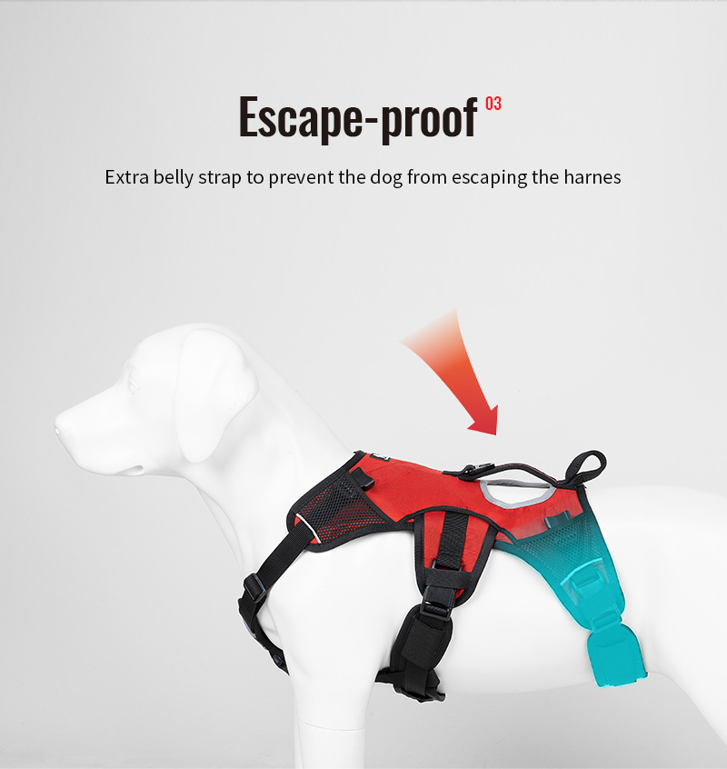 TrueLove Ultimate Comfort for Outdoor Explorations Adventure Backpack (TLB2051)