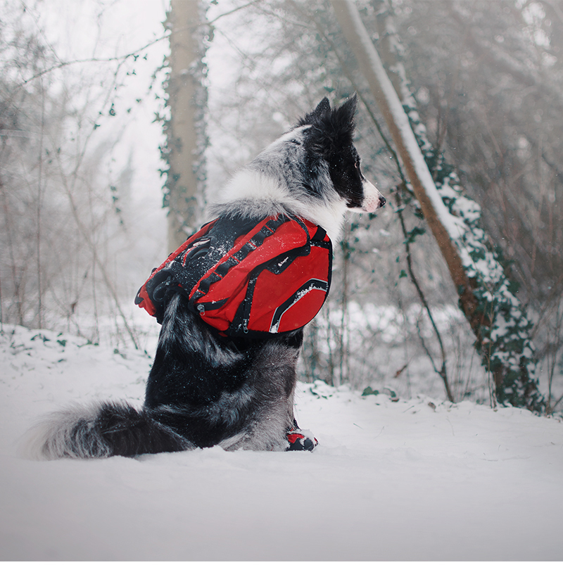 TrueLove Ultimate Comfort for Outdoor Explorations Adventure Backpack (TLB2051)