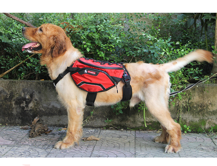 TrueLove Ultimate Comfort for Outdoor Explorations Adventure Backpack (TLB2051)