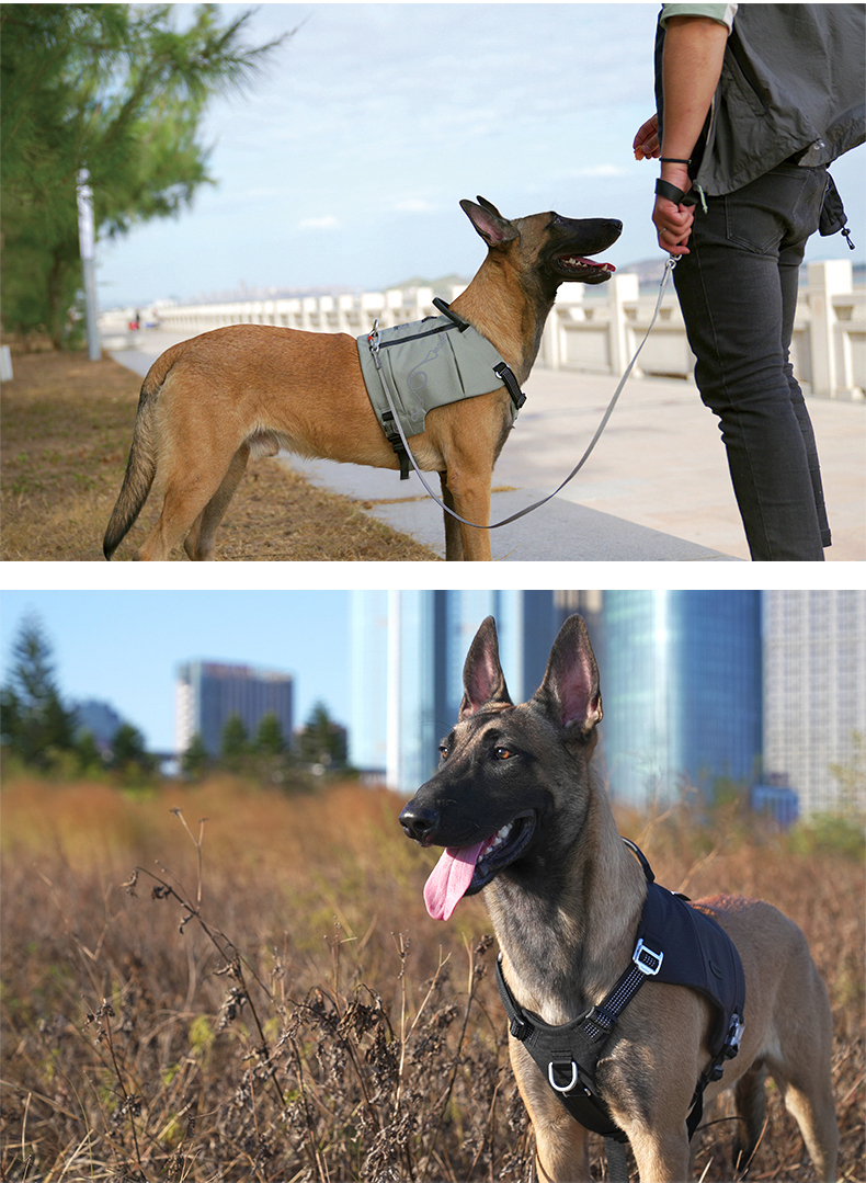Truelove Tactic Comfortable Cordura Adjust Dog Harness