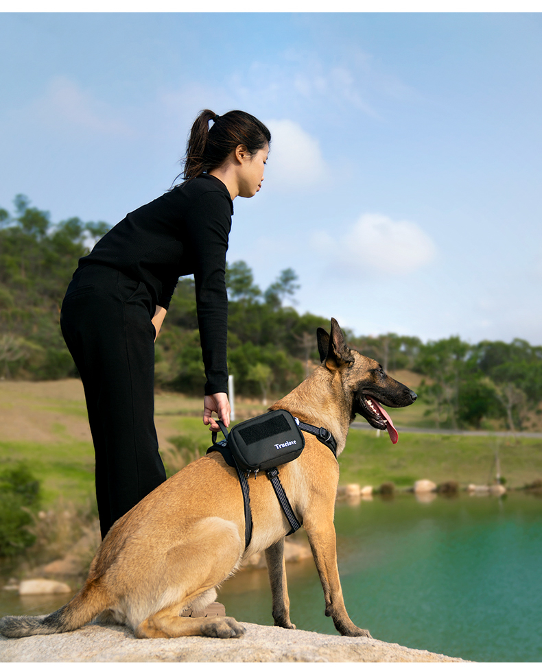 Truelove Versatile Pet Pouch: Durable, Spacious, and Adaptable (TLB3011)