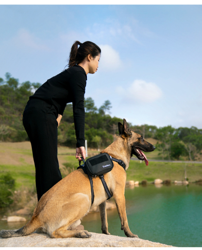 Truelove Versatile Pet Pouch: Durable, Spacious, and Adaptable (TLB3011)