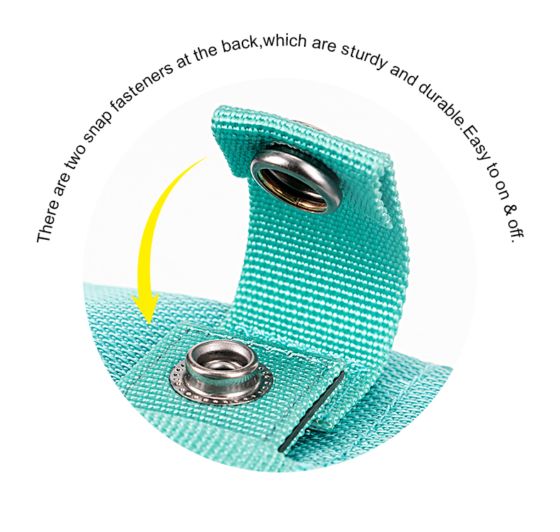 Truelove Versatile Pet Pouch: Durable, Spacious, and Adaptable (TLB3011)