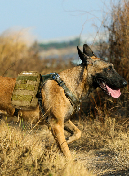 Truelove’s Pet Pouch: Durability and Versatility Meet On-the-Go Convenience (TLB3012)