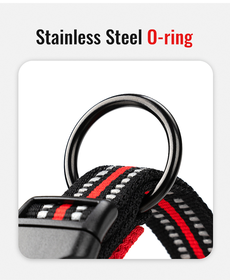 Truelove Lightweight Training Pet Collar with Adjustable Buckle Reflective Dog Tactical Collar (TLC5011)