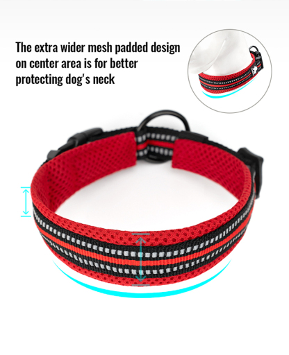 Truelove Lightweight Training Pet Collar with Adjustable Buckle Reflective Dog Tactical Collar (TLC5011)