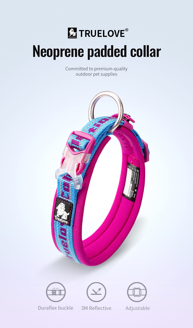 Truelove Reflective Padded Pet Collar for Safety and Comfort (TLC50121)