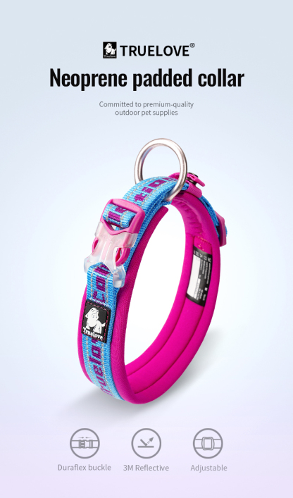 Truelove Reflective Padded Pet Collar for Safety and Comfort (TLC50121)