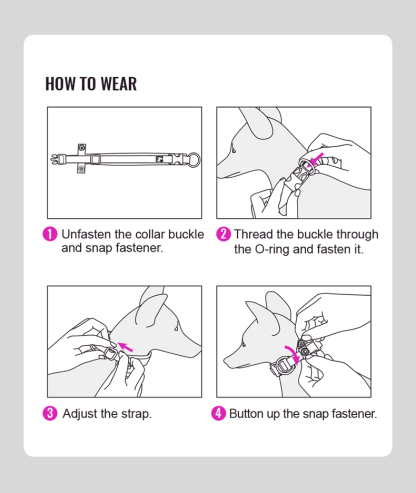 Truelove Reflective Padded Pet Collar for Safety and Comfort (TLC50121)