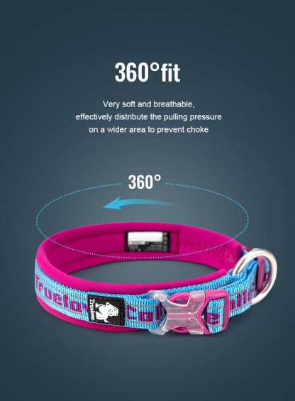 Truelove Reflective Padded Pet Collar for Safety and Comfort (TLC50121)