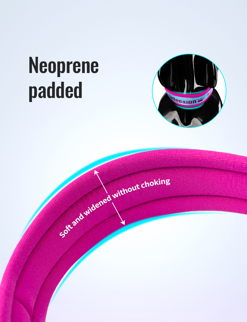 Truelove Reflective Padded Pet Collar for Safety and Comfort (TLC50121)