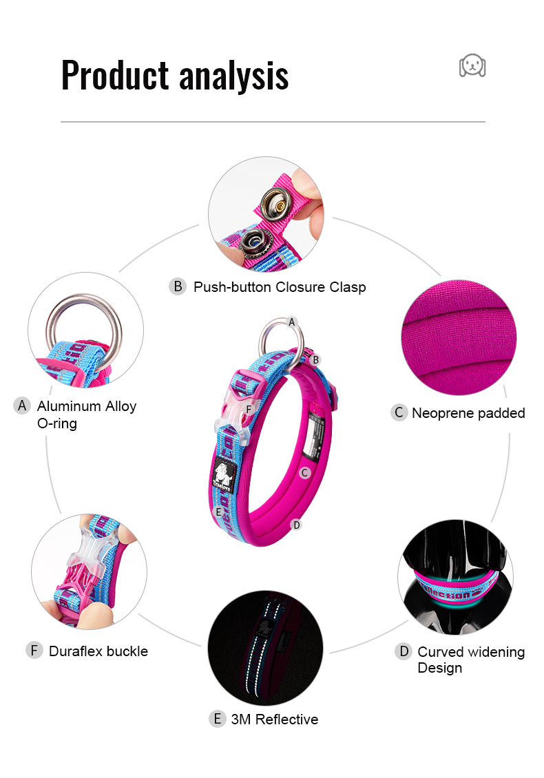 Truelove Reflective Padded Pet Collar for Safety and Comfort (TLC50121)