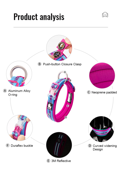 Truelove Reflective Padded Pet Collar for Safety and Comfort (TLC50121)