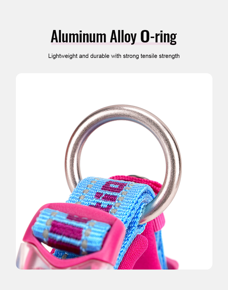 Truelove Reflective Padded Pet Collar for Safety and Comfort (TLC50121)