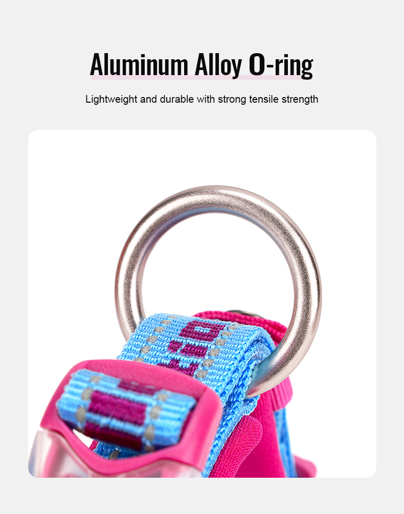 Truelove Reflective Padded Pet Collar for Safety and Comfort (TLC50121)