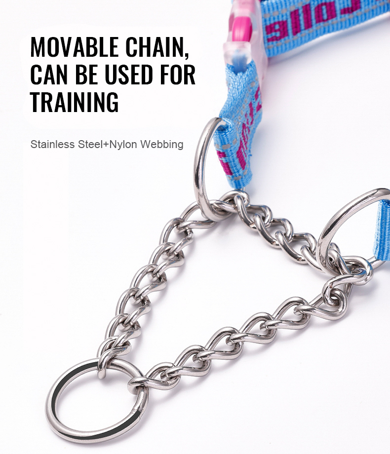 Truelove Dog Collar with Stainless Steel Chain (TLC5372)