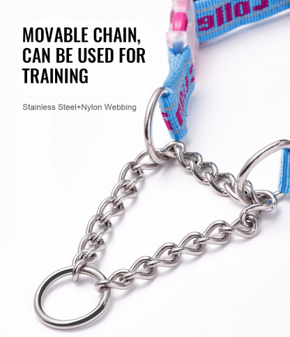 Truelove Dog Collar with Stainless Steel Chain (TLC5372)