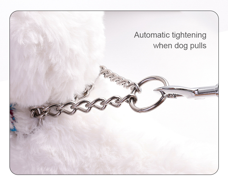 Truelove Dog Collar with Stainless Steel Chain (TLC5372)