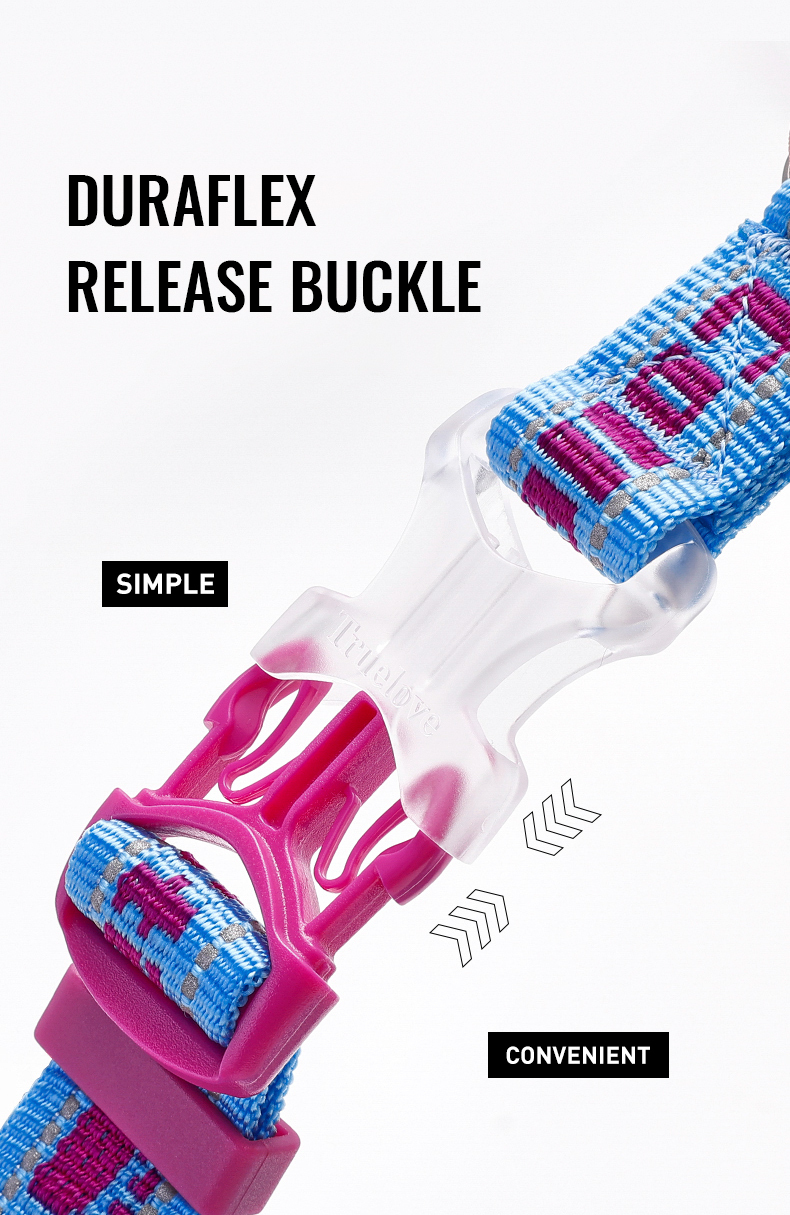 Truelove Dog Collar with Stainless Steel Chain (TLC5372)