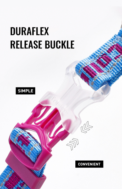 Truelove Dog Collar with Stainless Steel Chain (TLC5372)